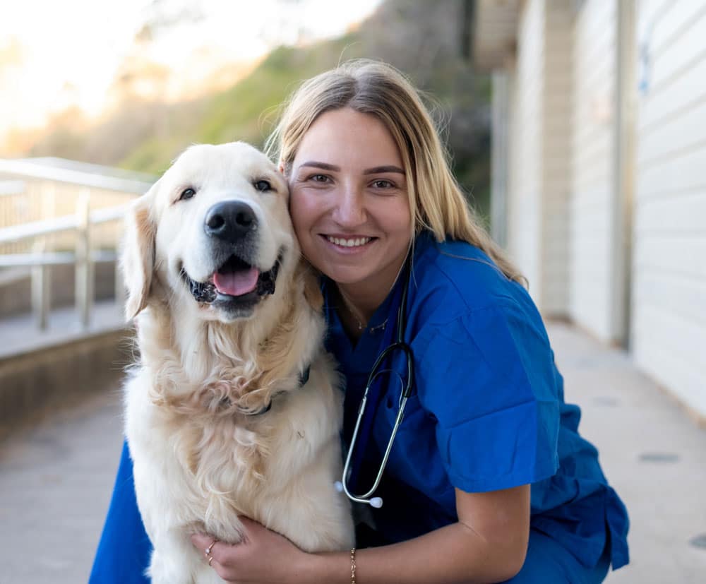Vet-with-dog Vet-with-dog